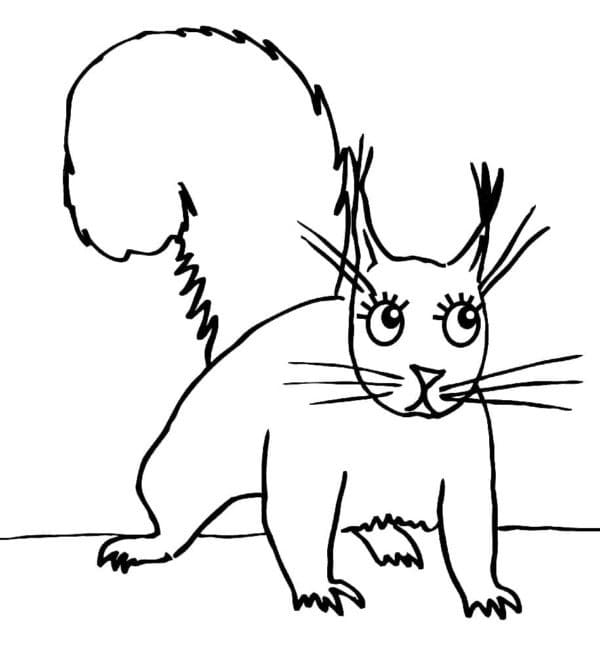 Scoiattolo Curioso da colorare