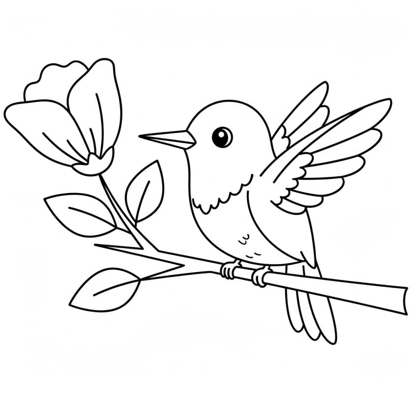 Stampabile Gratis Colibrì da colorare