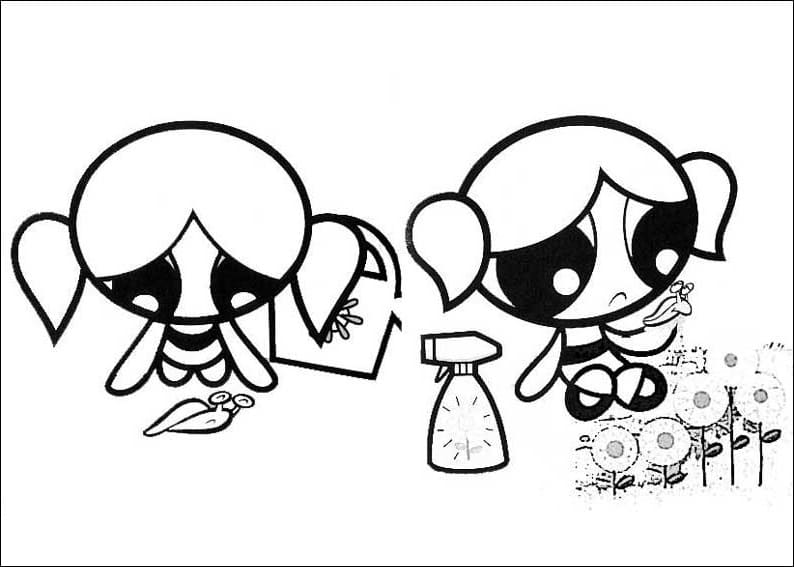 Stampabile Le Superchicche Omaggio da colorare