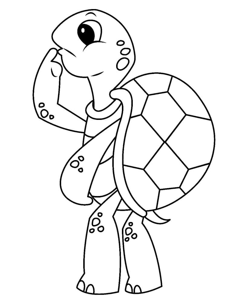 Tartaruga Curiosa da colorare