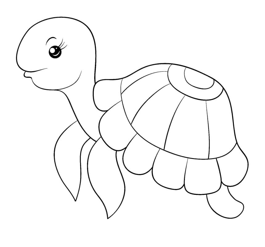 Tartaruga Incantevole da colorare