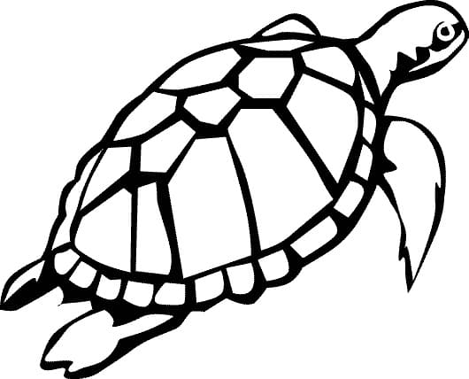 Tartaruga Marina Gratuita da colorare
