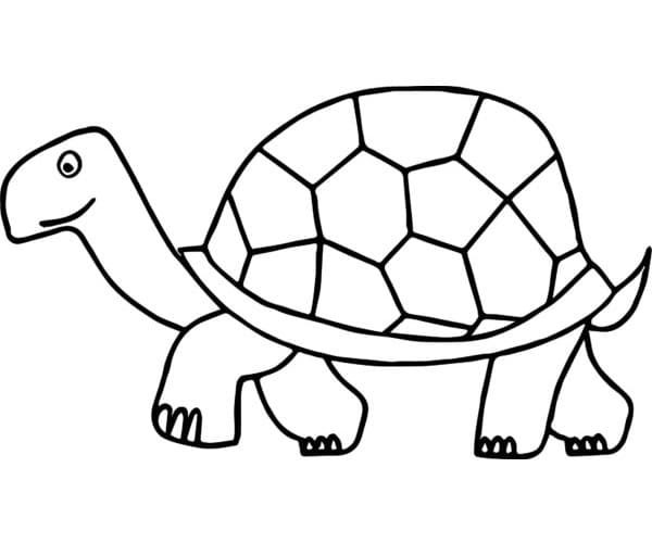 Tartaruga che Cammina da colorare