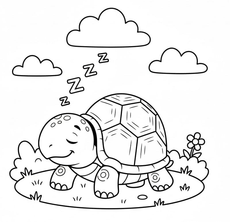 Tartaruga che Dorme da colorare