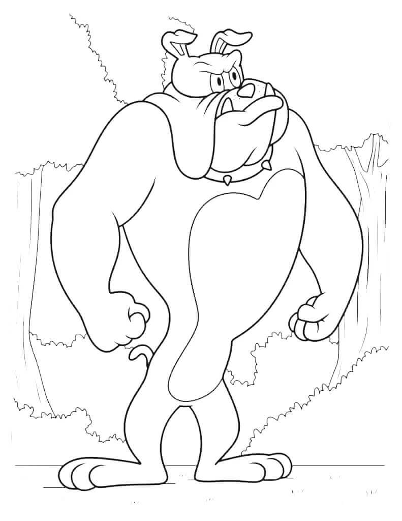 Tom e Jerry Divertenti da colorare