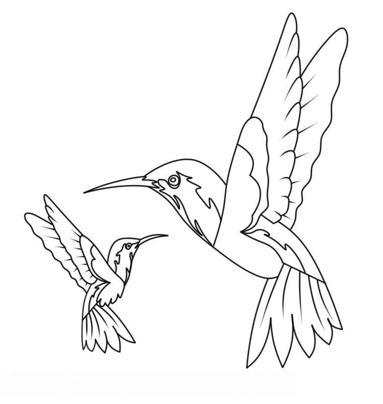 Un Colibrì Dolcissimo da colorare