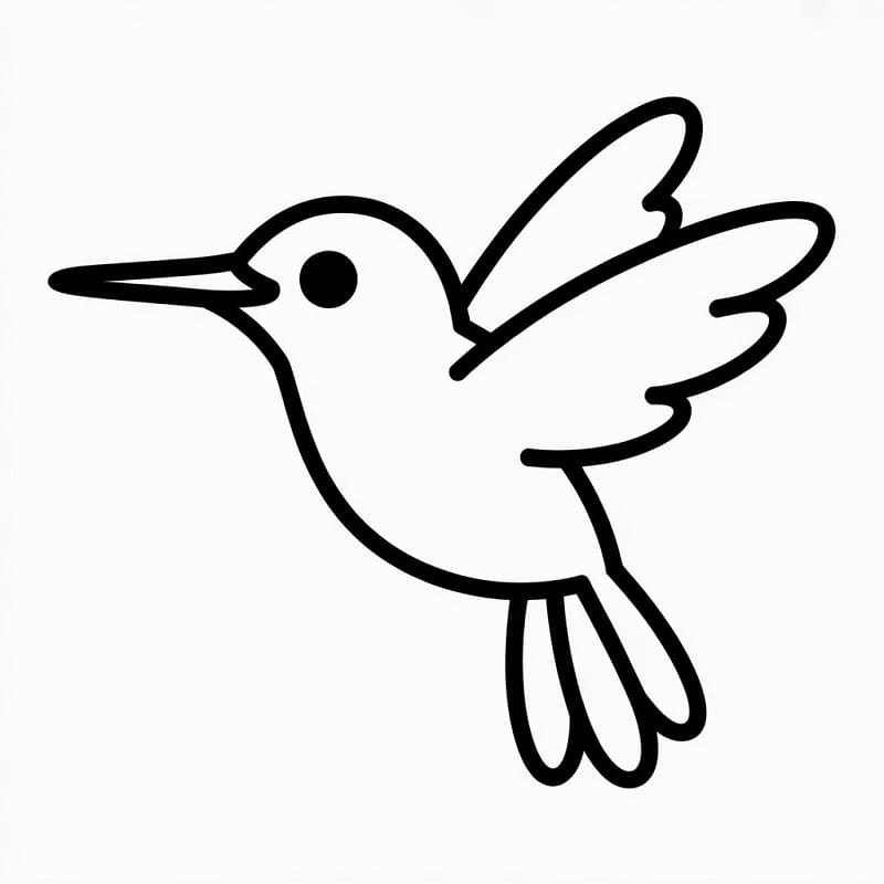 Un Colibrì da colorare