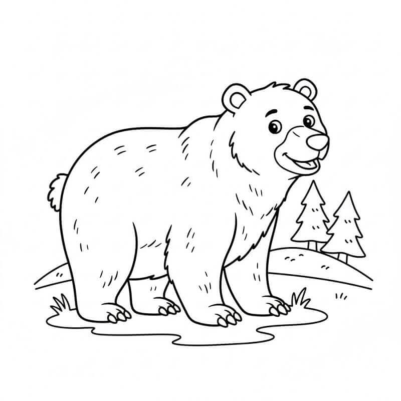 Orsi da colorare