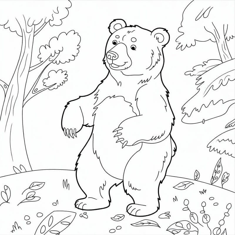 Un Orso nel Bosco da colorare