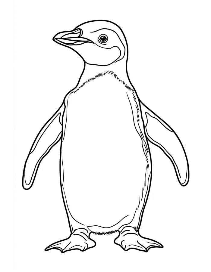 Un Pinguino Normale da colorare