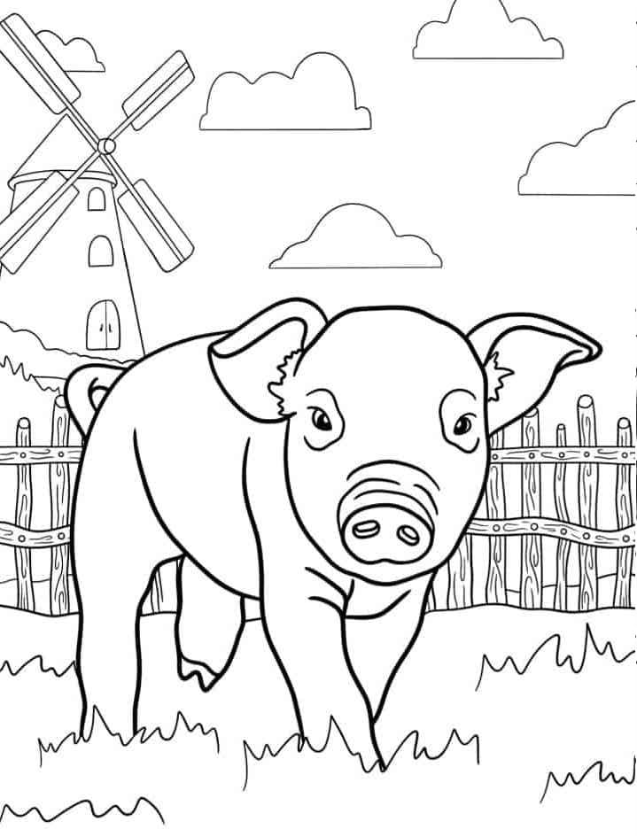 Un maiale da colorare