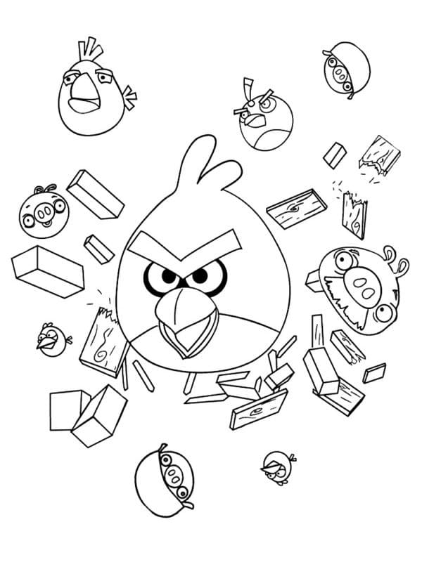 Angry Birds Spettacolari da colorare