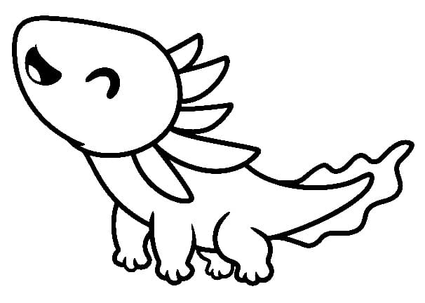 Axolotl (13) da colorare