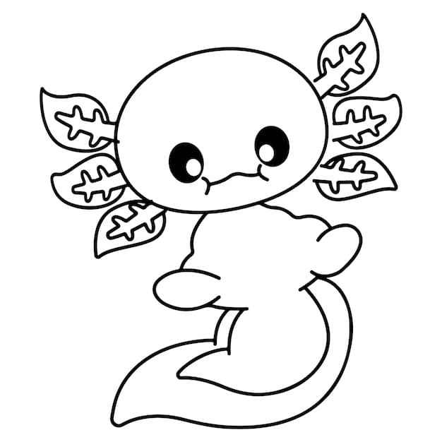 Axolotl (14) da colorare