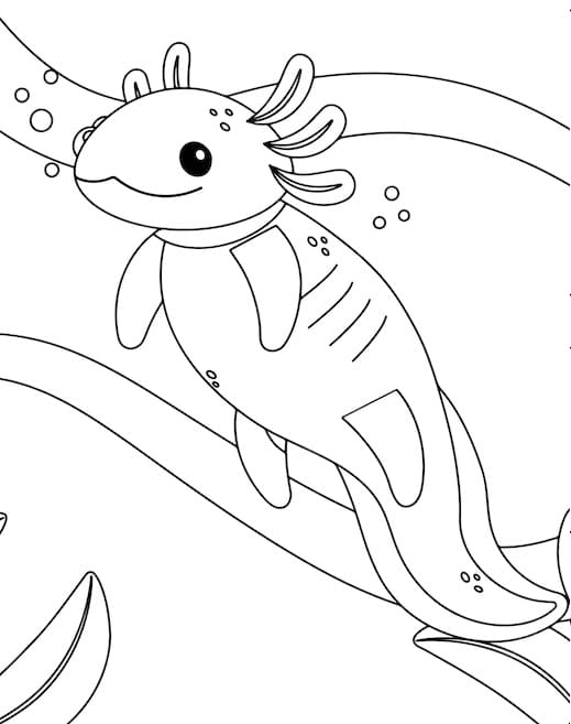 Axolotl (3) da colorare