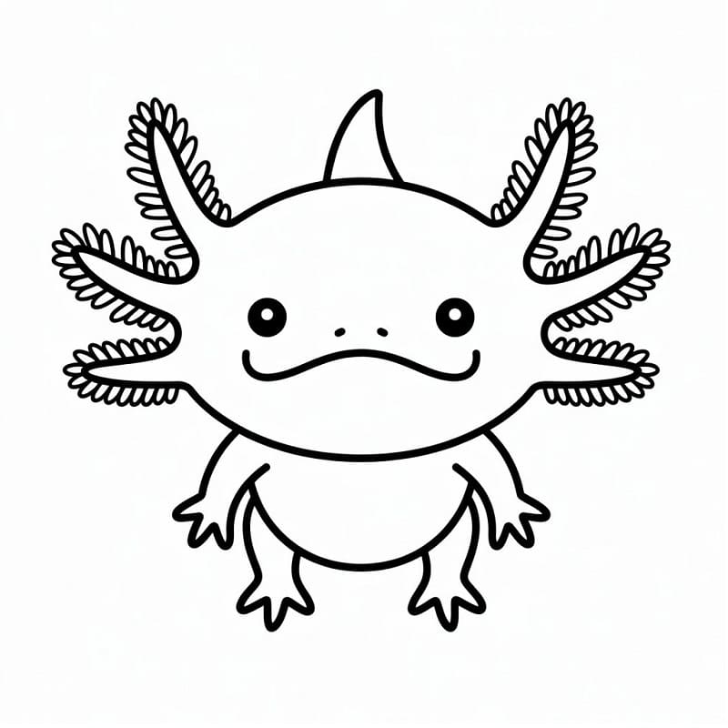 Axolotl Incantevole da colorare