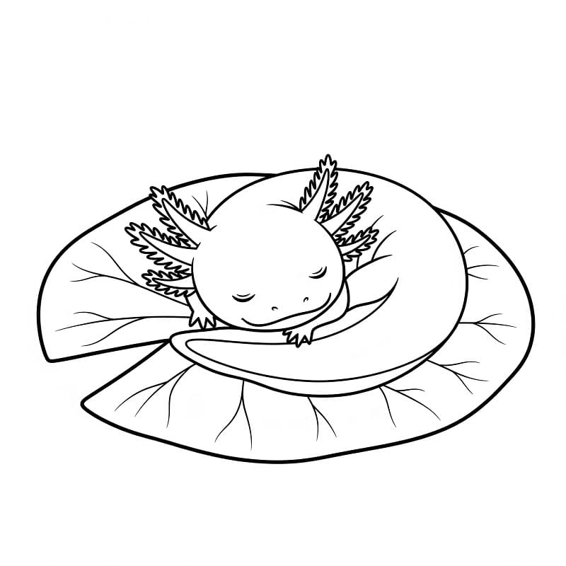 Axolotl Stampabile per Bambini da colorare