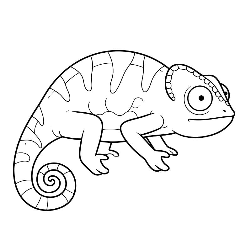 Camaleonte Tenerissimo da colorare