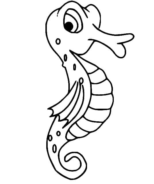 Cavalluccio Marino Base da colorare