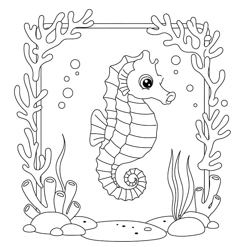 Cavalluccio Marino da Stampare da colorare