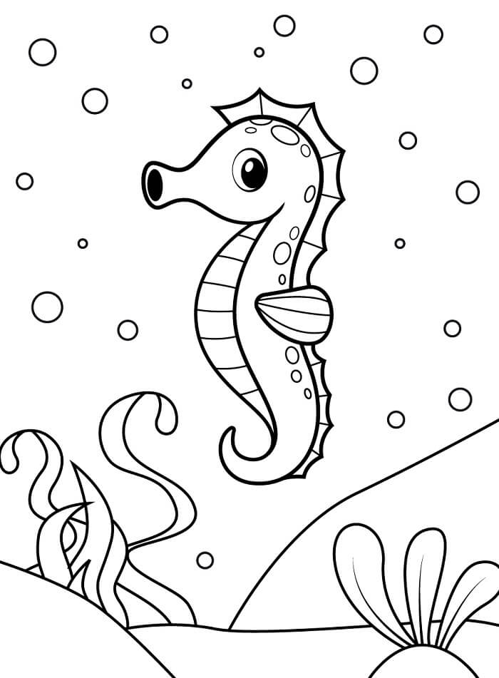 Cavalluccio Marino per Bimbi di 6 Anni da colorare