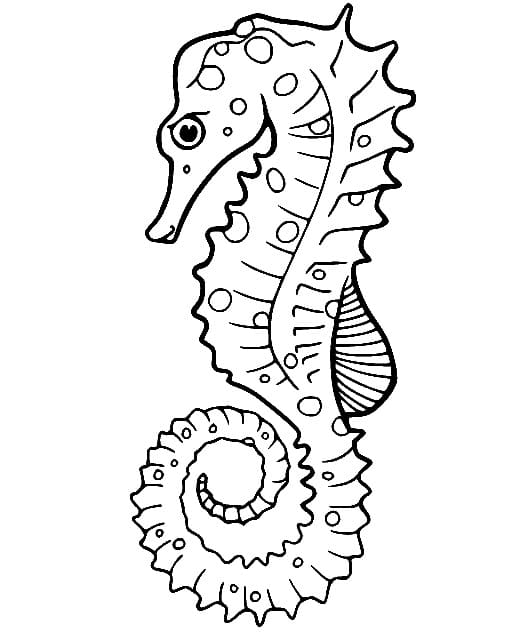 Cavalluccio Marino per Bimbi da colorare