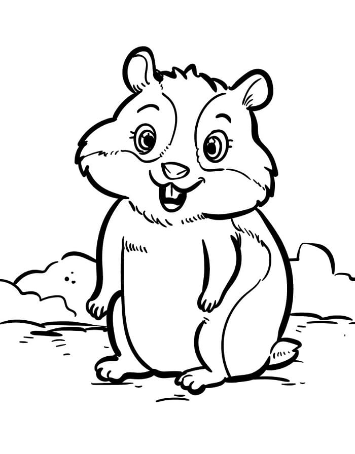 Criceto Adorabile da colorare