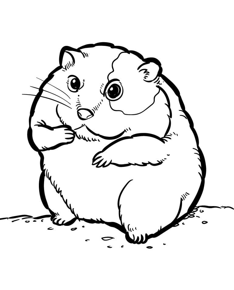 Criceto Animato da colorare
