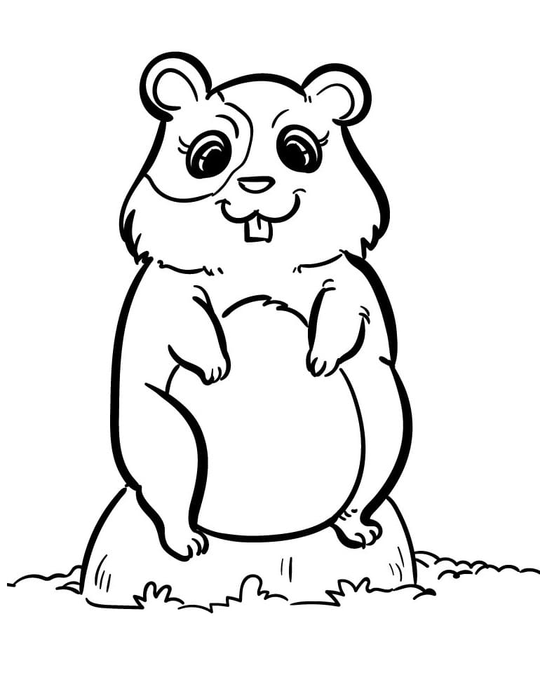 Criceto Piccolo e Dolce da colorare