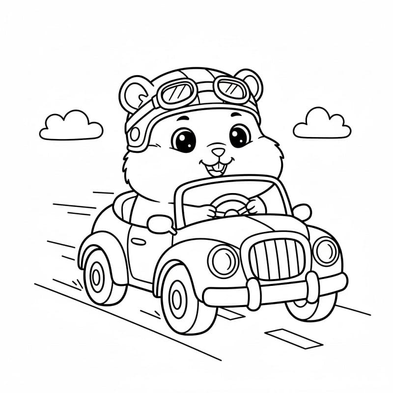 Criceto Regalo da colorare