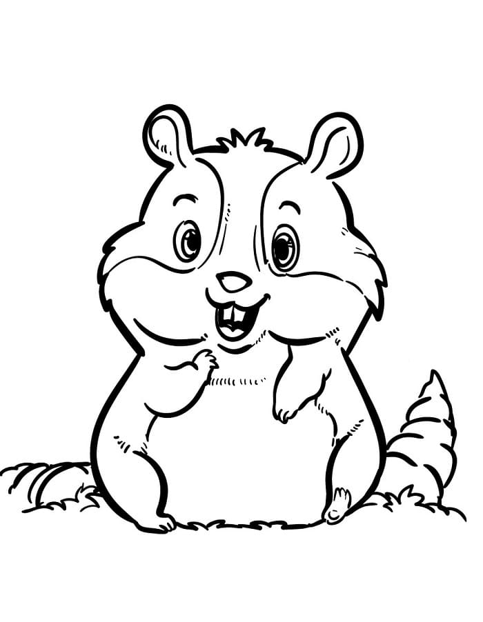 Criceto Stampabile Gratis da colorare