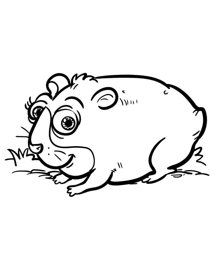 Criceto da Stampare da colorare