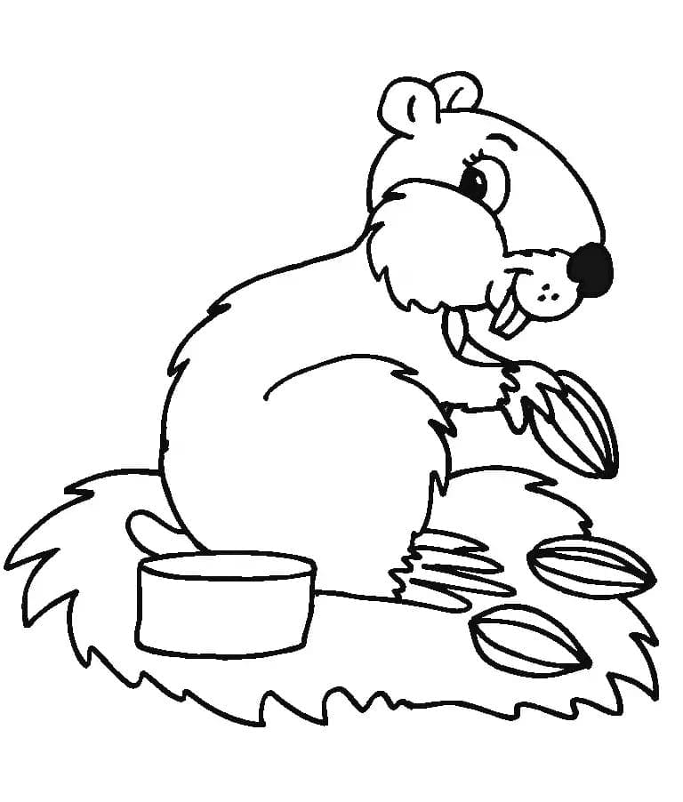 Criceto per Bimbi di 4 Anni da colorare