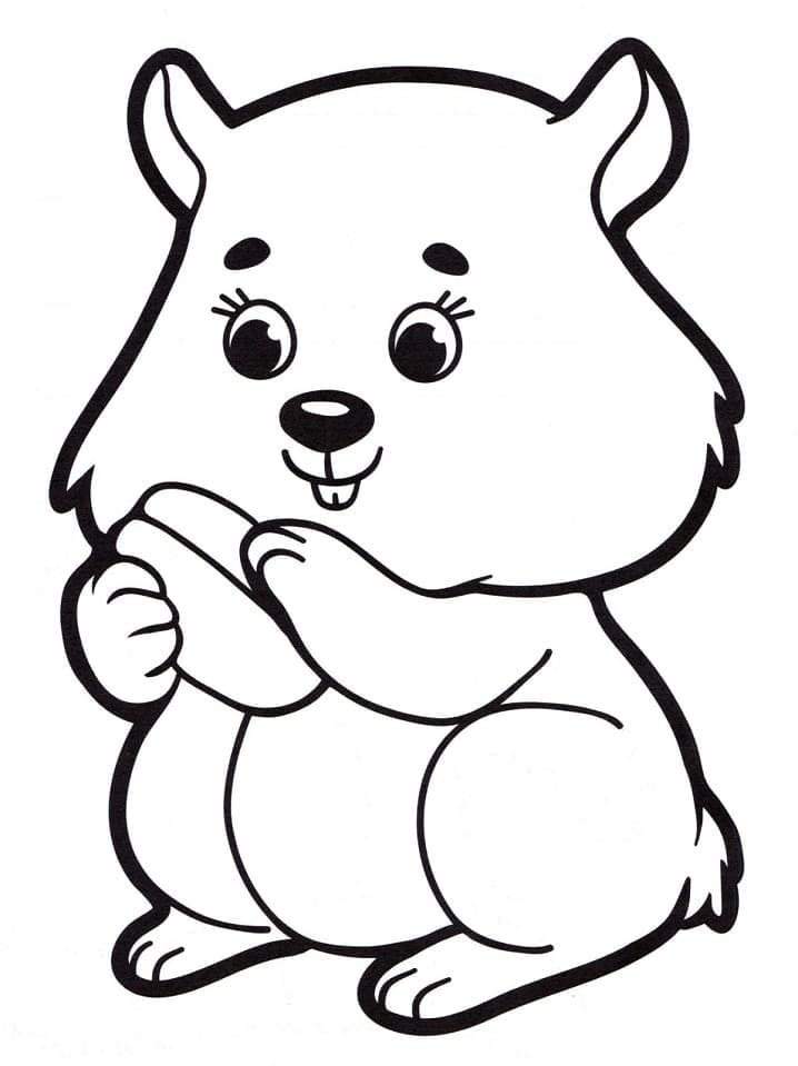 Criceto per Bimbi di 6 Anni da colorare