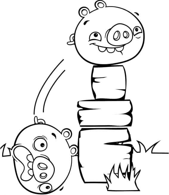 Due Maiali Angry Birds da colorare