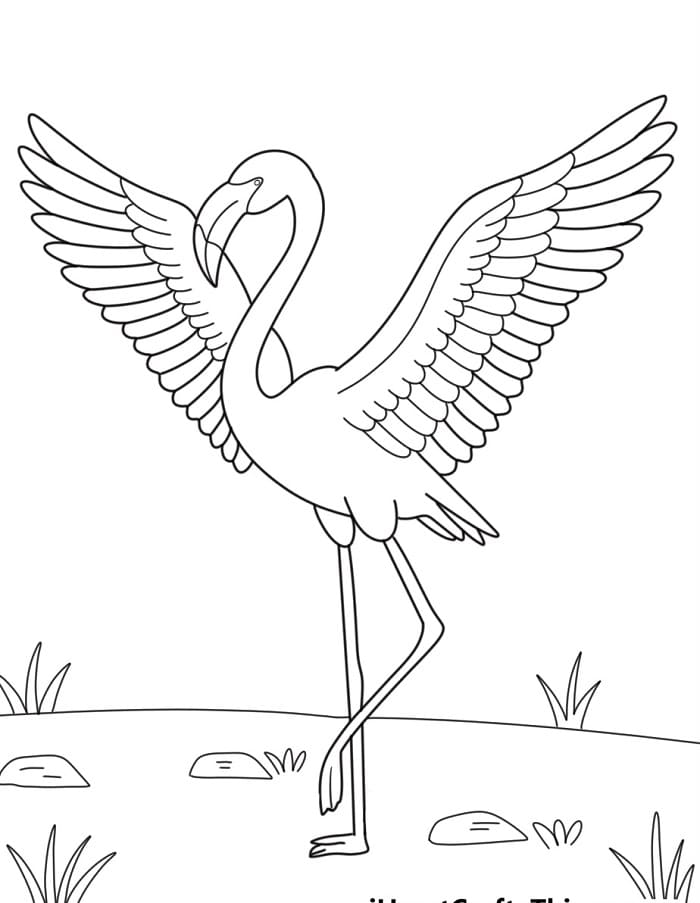 Fenicottero Animato da colorare