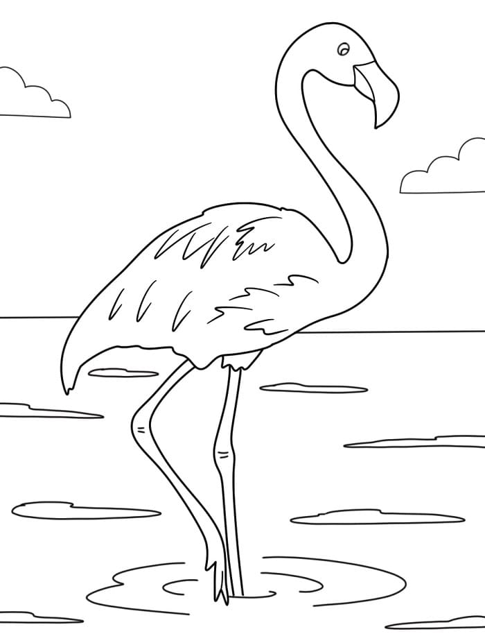 Fenicottero Felice da colorare