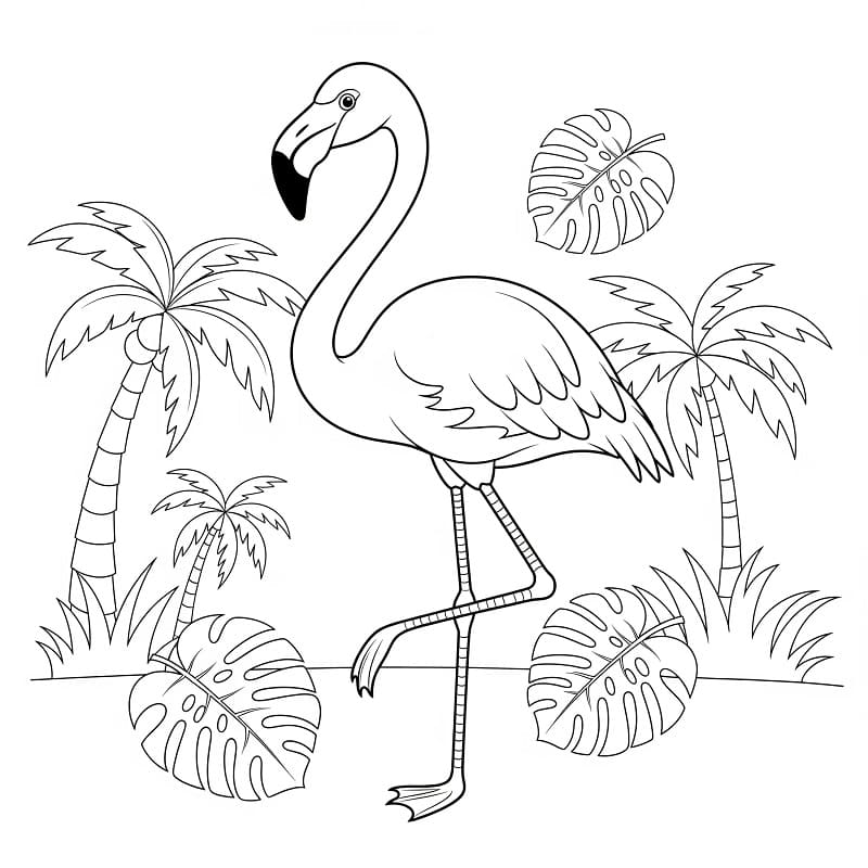 Fenicottero Gratis Stampabile da colorare