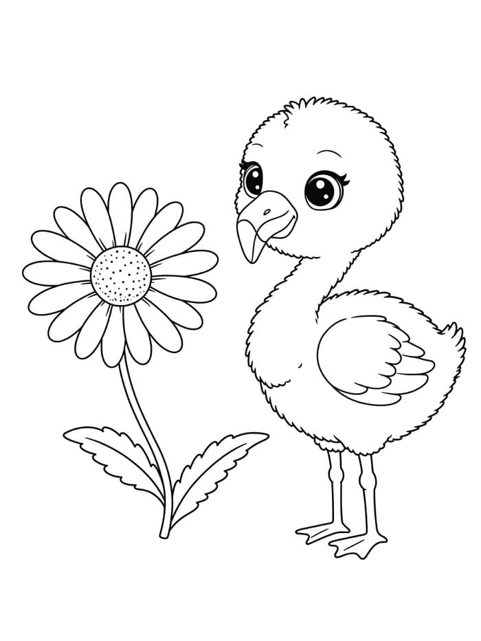 Fenicottero Grazioso da colorare