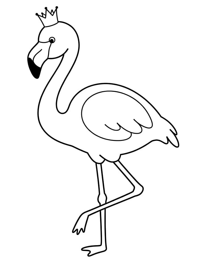Fenicottero Immagine Gratis da colorare
