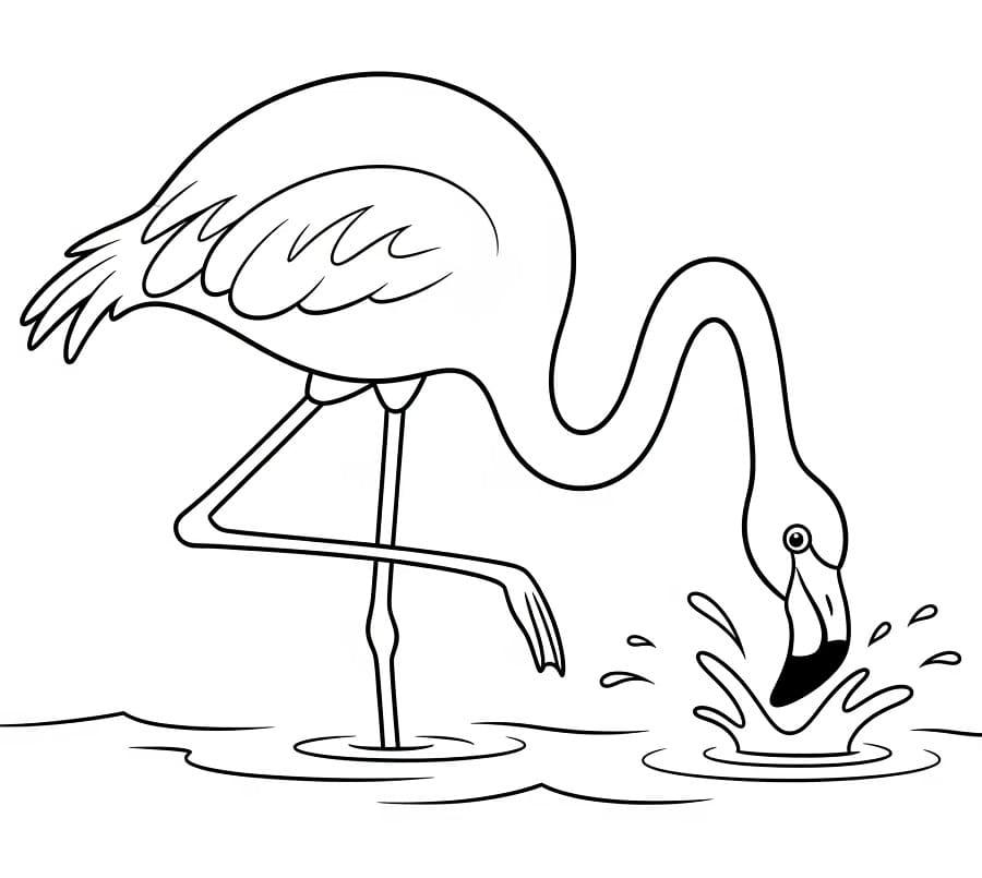 Fenicottero Omaggio da colorare