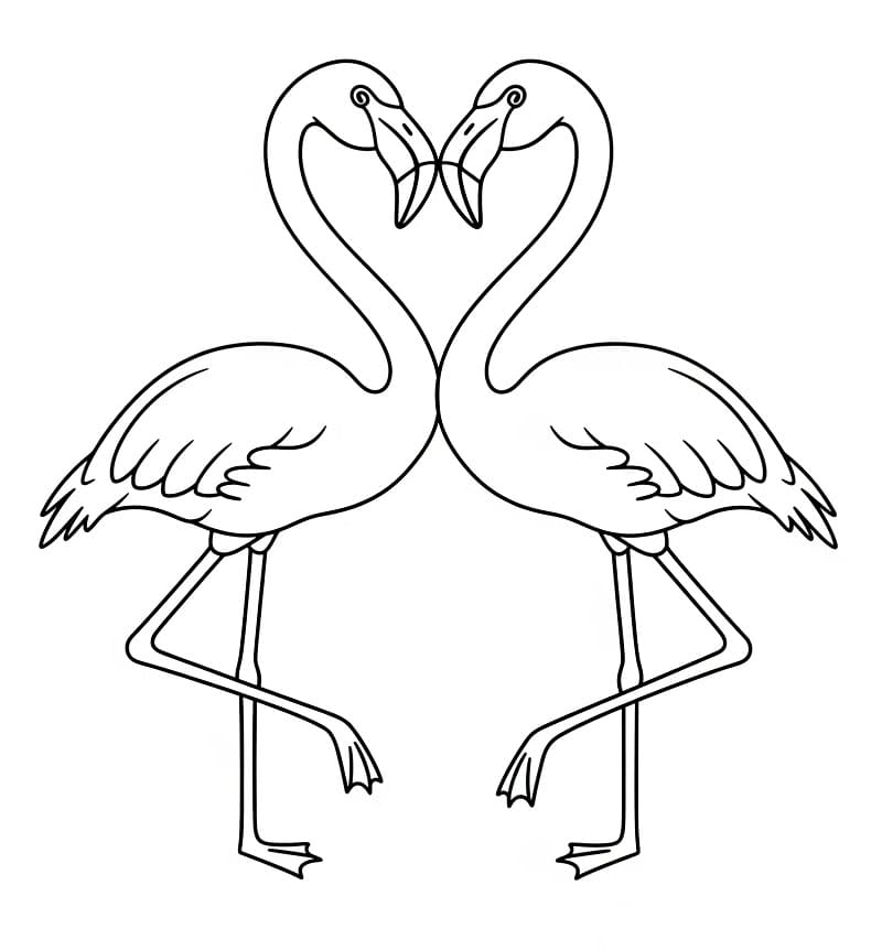 Fenicottero Regalo da colorare