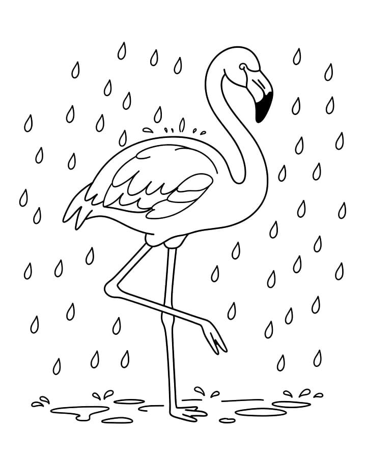 Fenicottero Stampabile per Bambini da colorare