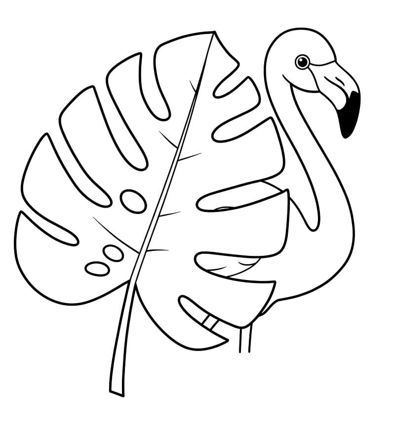Fenicottero per Bimbi di 1 Anno da colorare