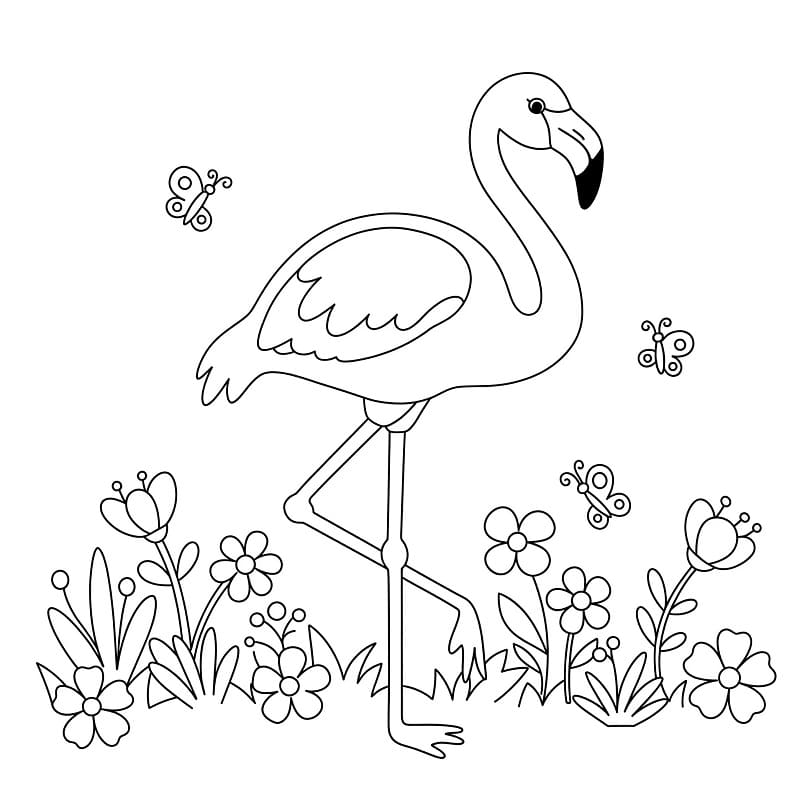 Fenicottero per Bimbi di 2 Anni da colorare