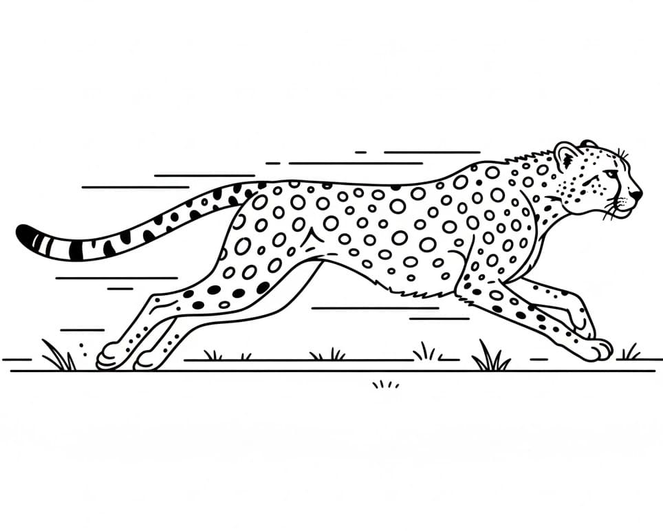 Ghepardo Facile da colorare