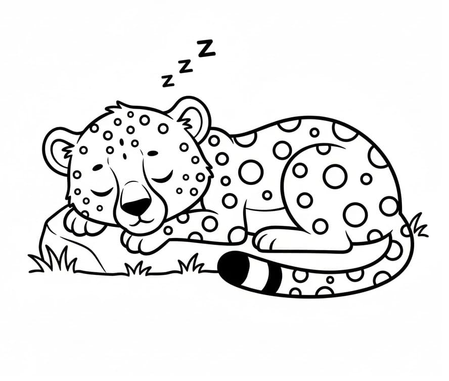Ghepardo Gratis Stampabile da colorare