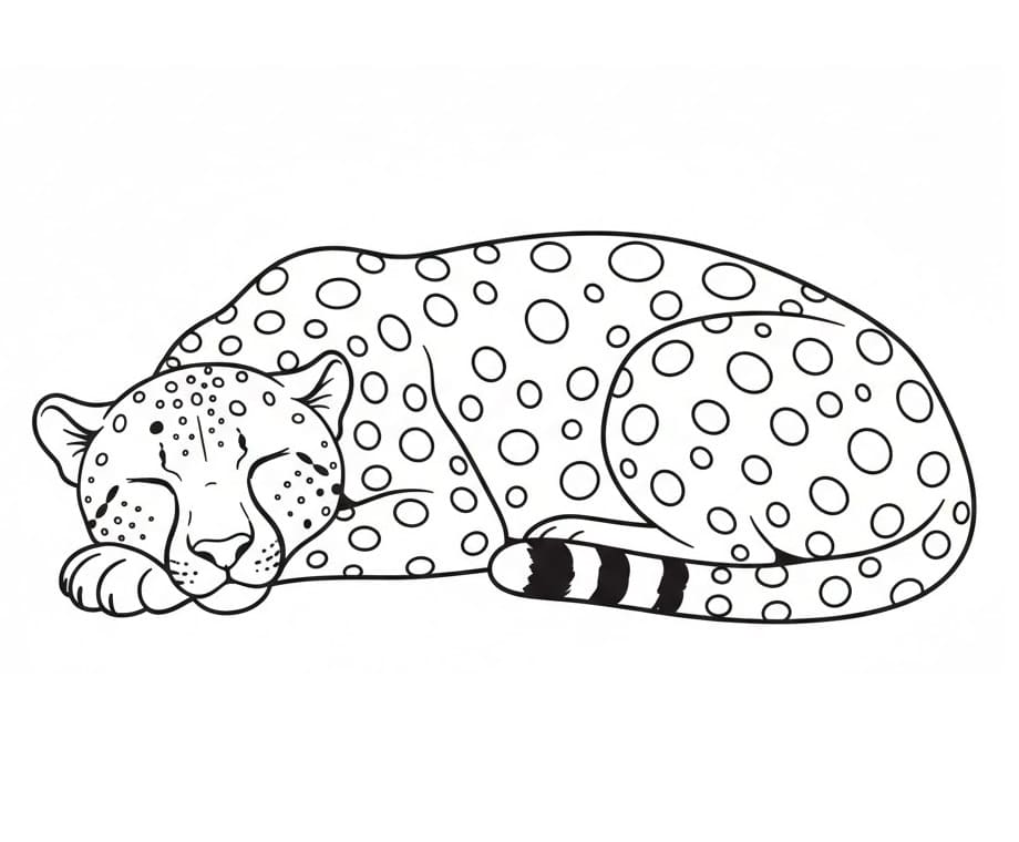 Ghepardo Regalo da colorare