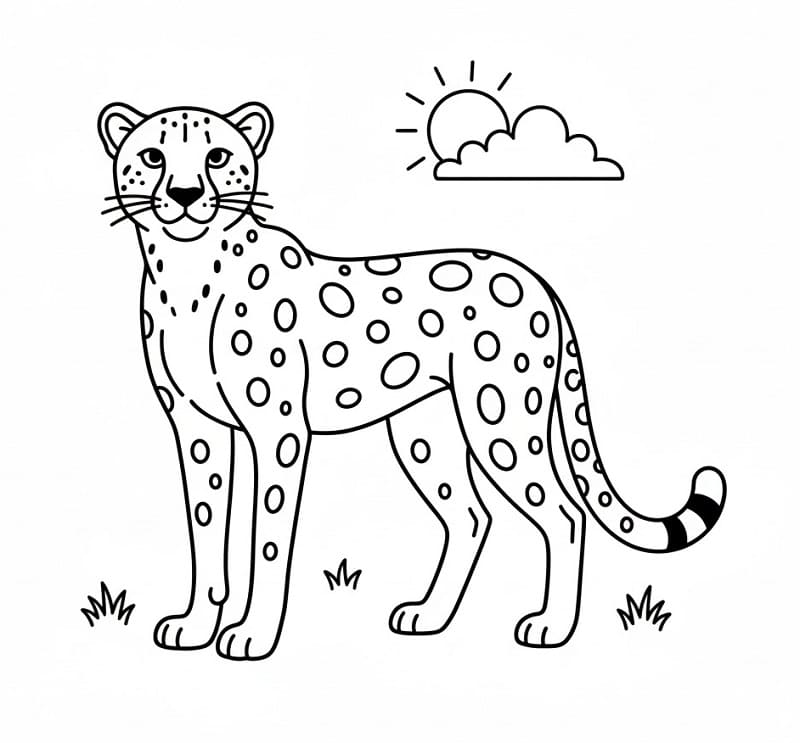Ghepardo da colorare
