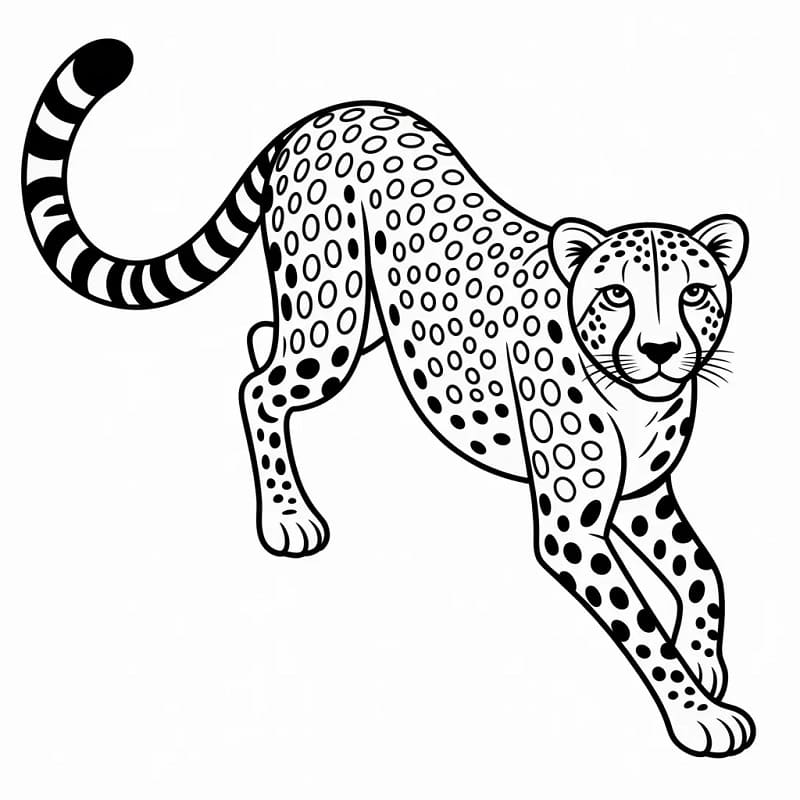 Ghepardo Straordinario da colorare
